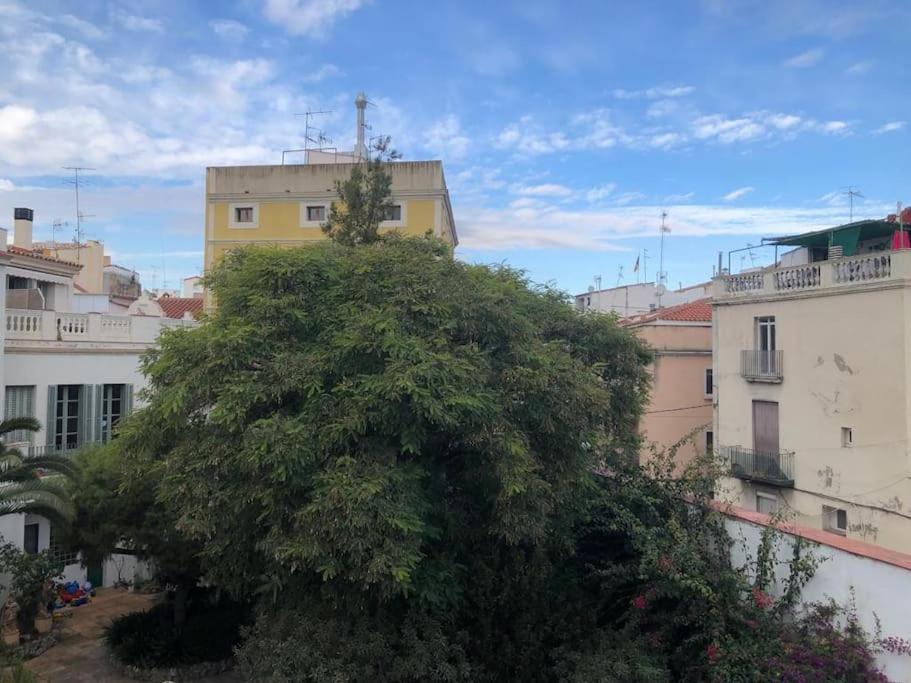 L'Havana Xica 比利亚努埃瓦-赫尔特鲁 外观 照片
